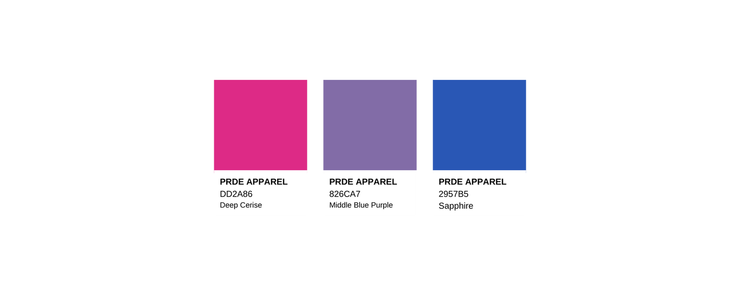 Bisexual Paint Swatch Poster
