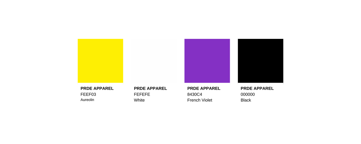 Non-Binary Paint Swatch iPhone Case