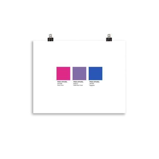 Bisexual Paint Swatch Poster