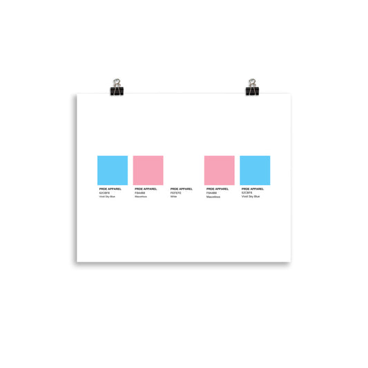 Transgender Paint Swatch Poster