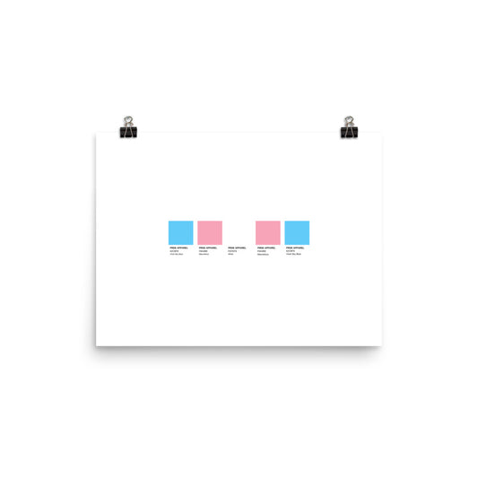 Transgender Paint Swatch Poster