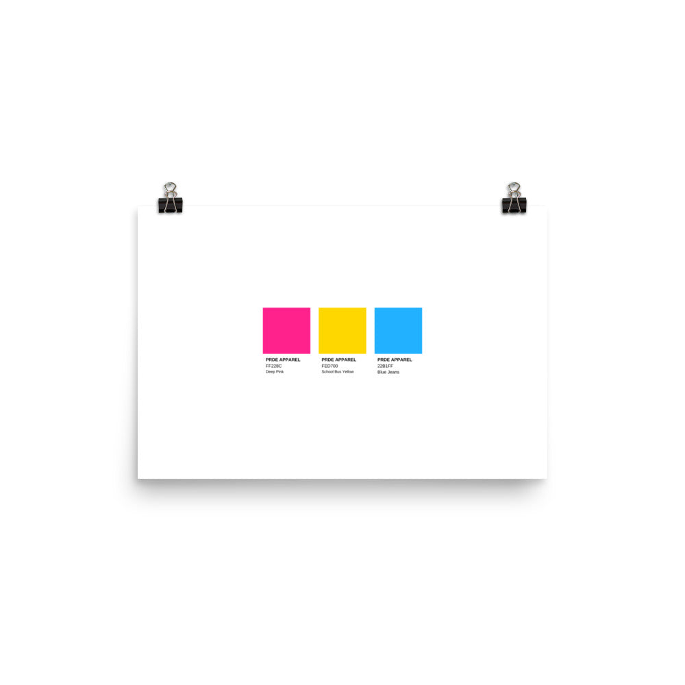Pansexual Paint Swatch Poster