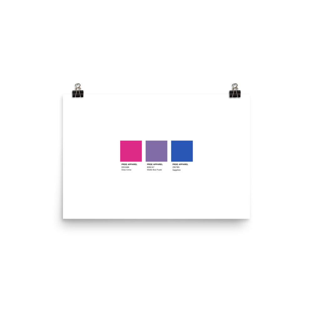 Bisexual Paint Swatch Poster