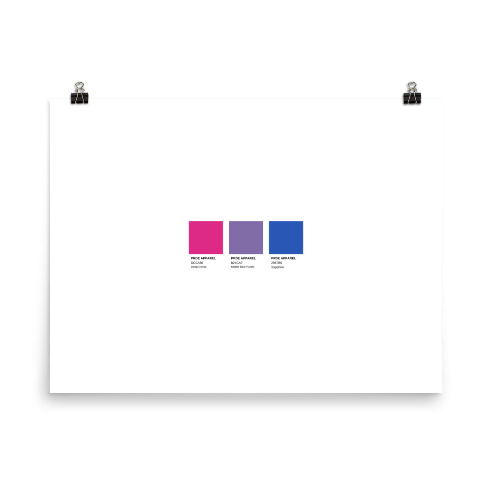 Bisexual Paint Swatch Poster