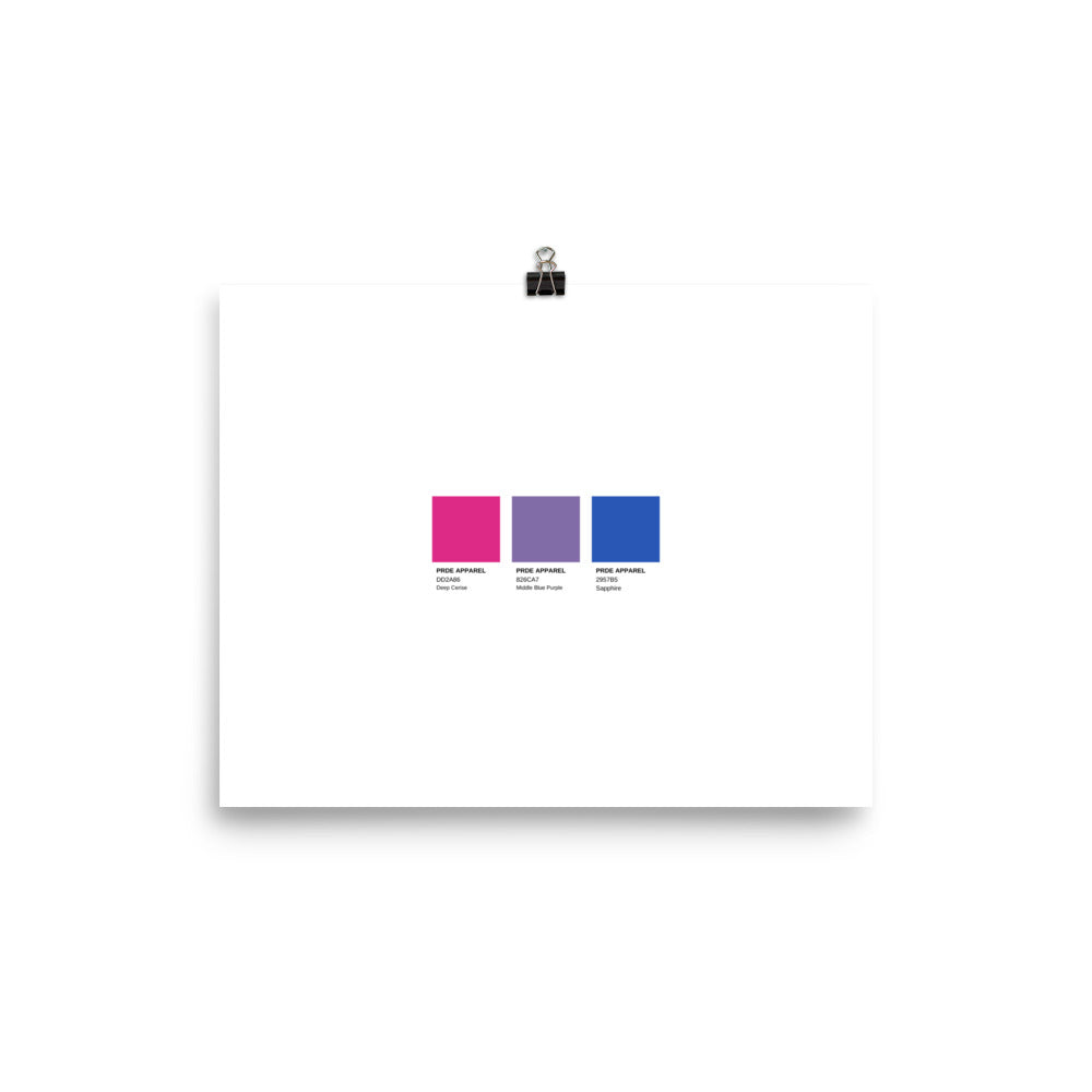 Bisexual Paint Swatch Poster