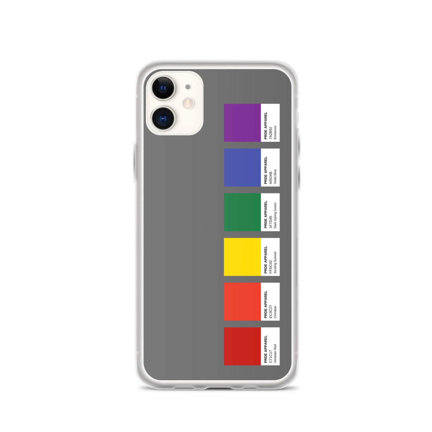 Pride Paint Swatch iPhone Case