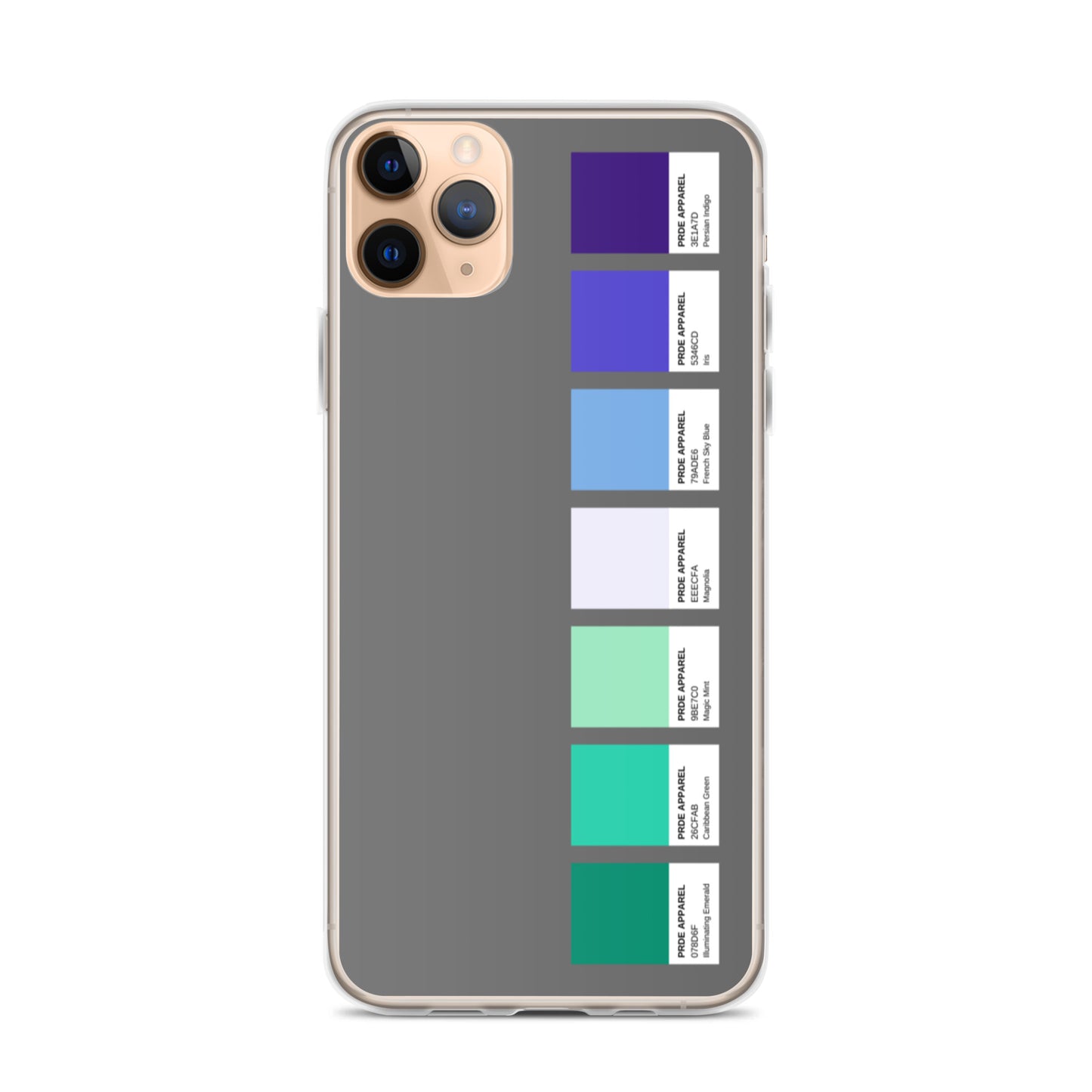 Gay Men's Pride Paint Swatch iPhone Case