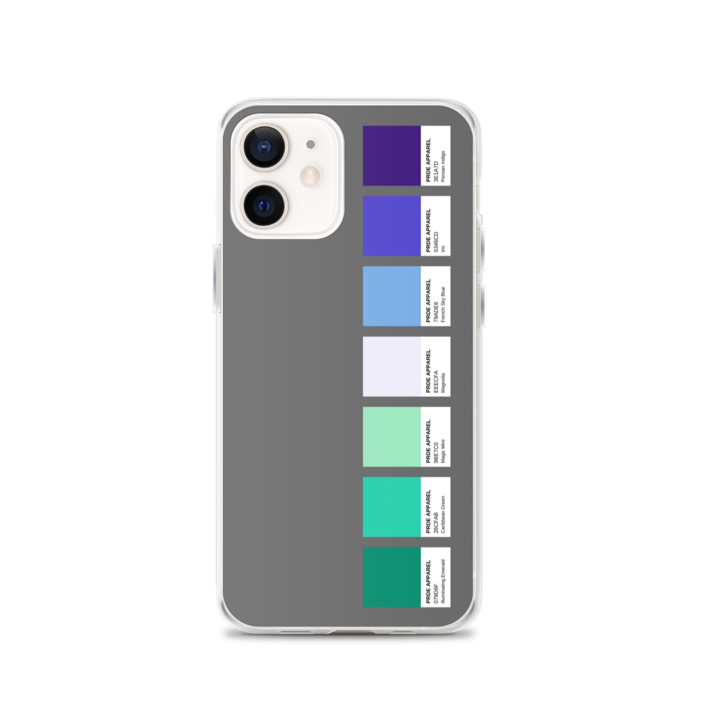 Gay Men's Pride Paint Swatch iPhone Case