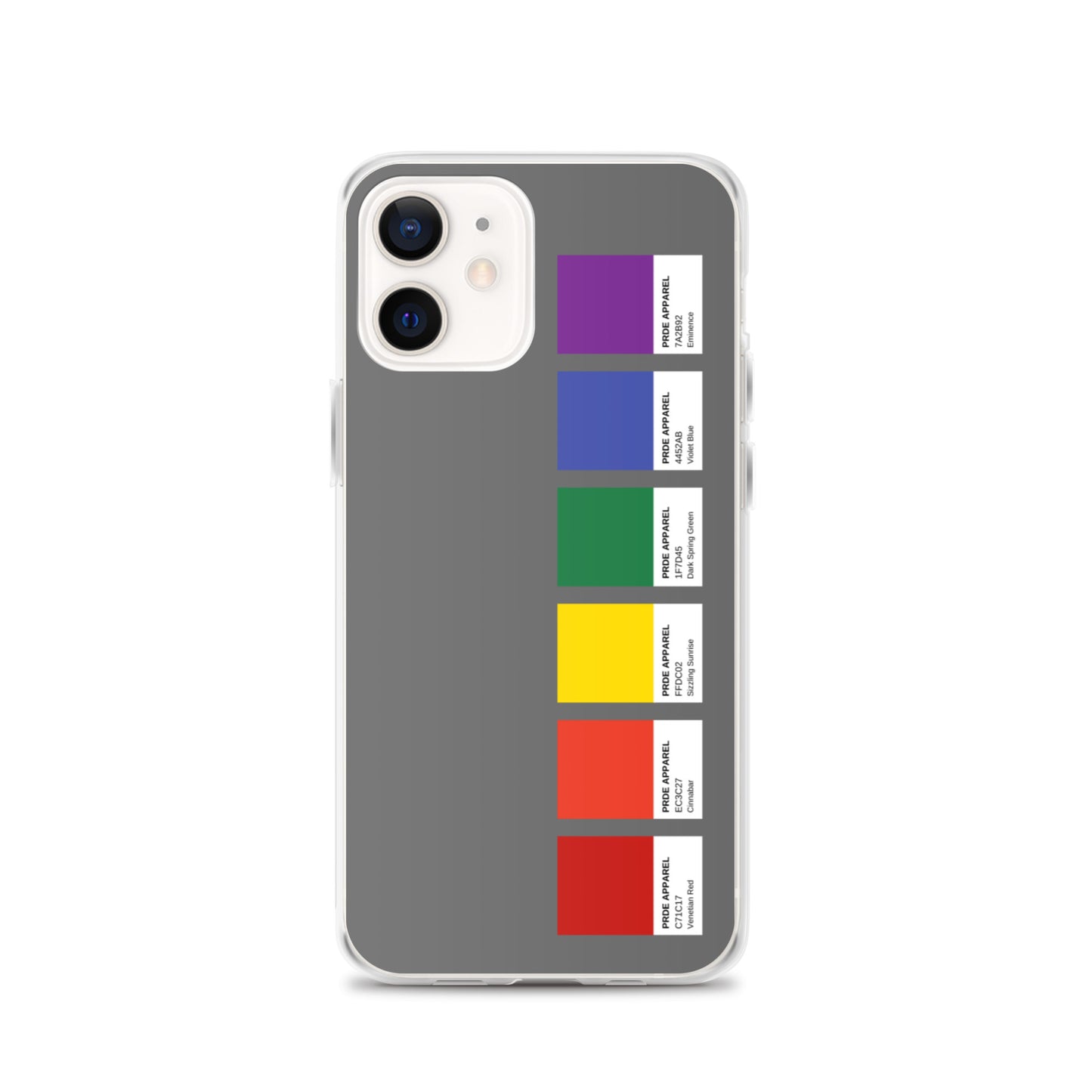 Pride Paint Swatch iPhone Case