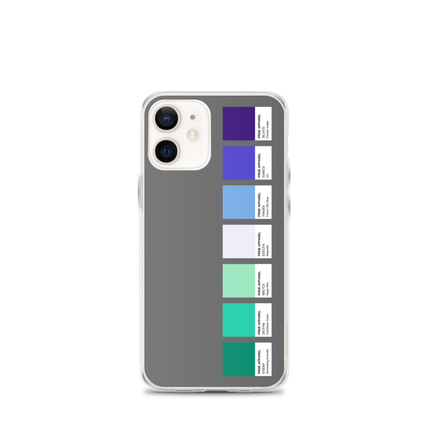Gay Men's Pride Paint Swatch iPhone Case