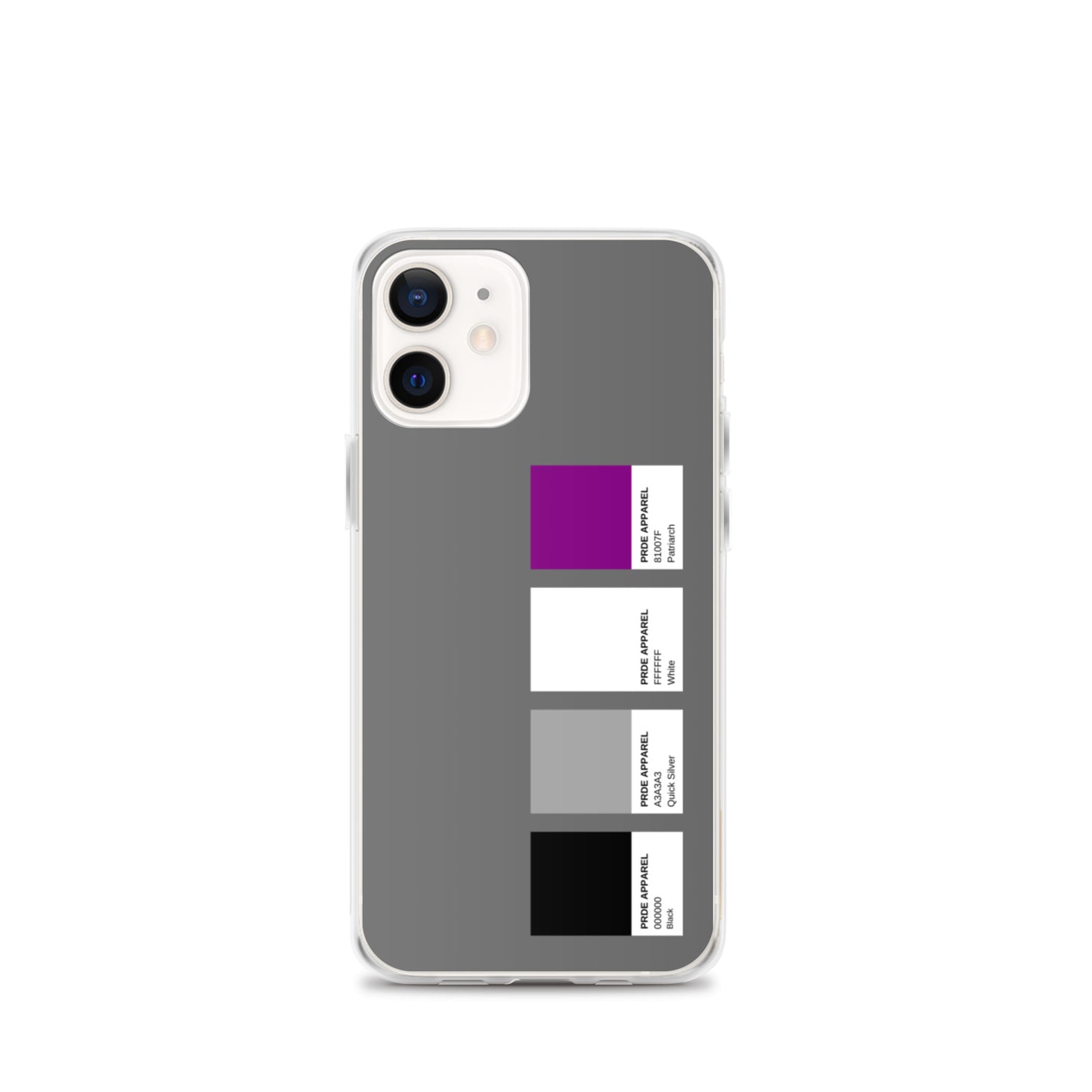 Asexual Paint Swatch iPhone Case