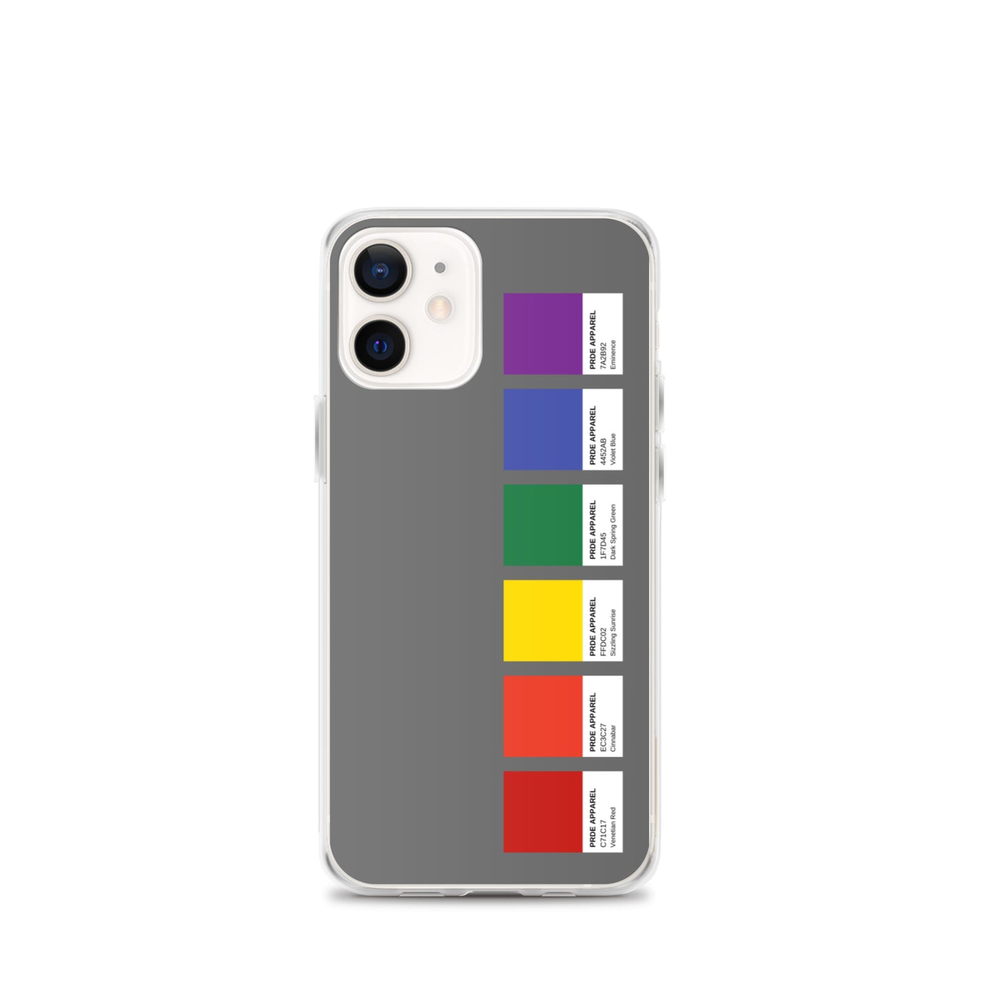 Pride Paint Swatch iPhone Case
