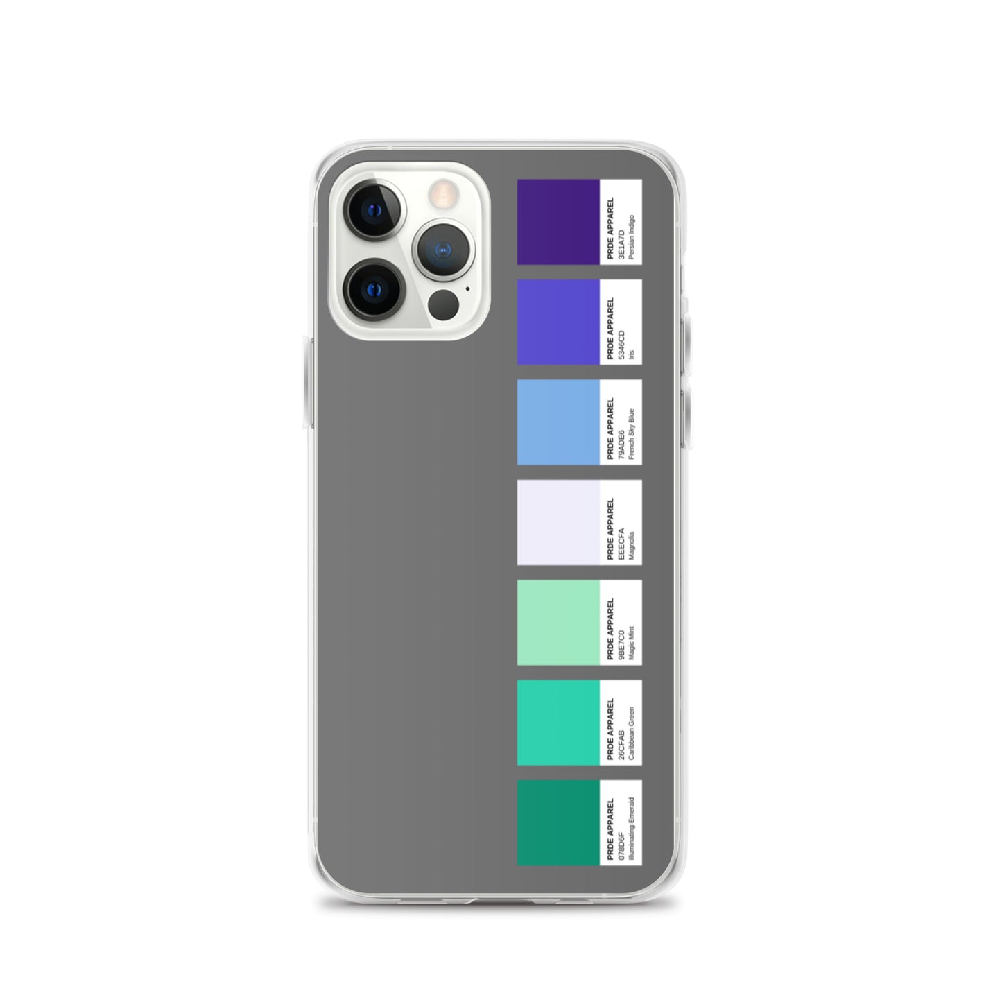 Gay Men's Pride Paint Swatch iPhone Case