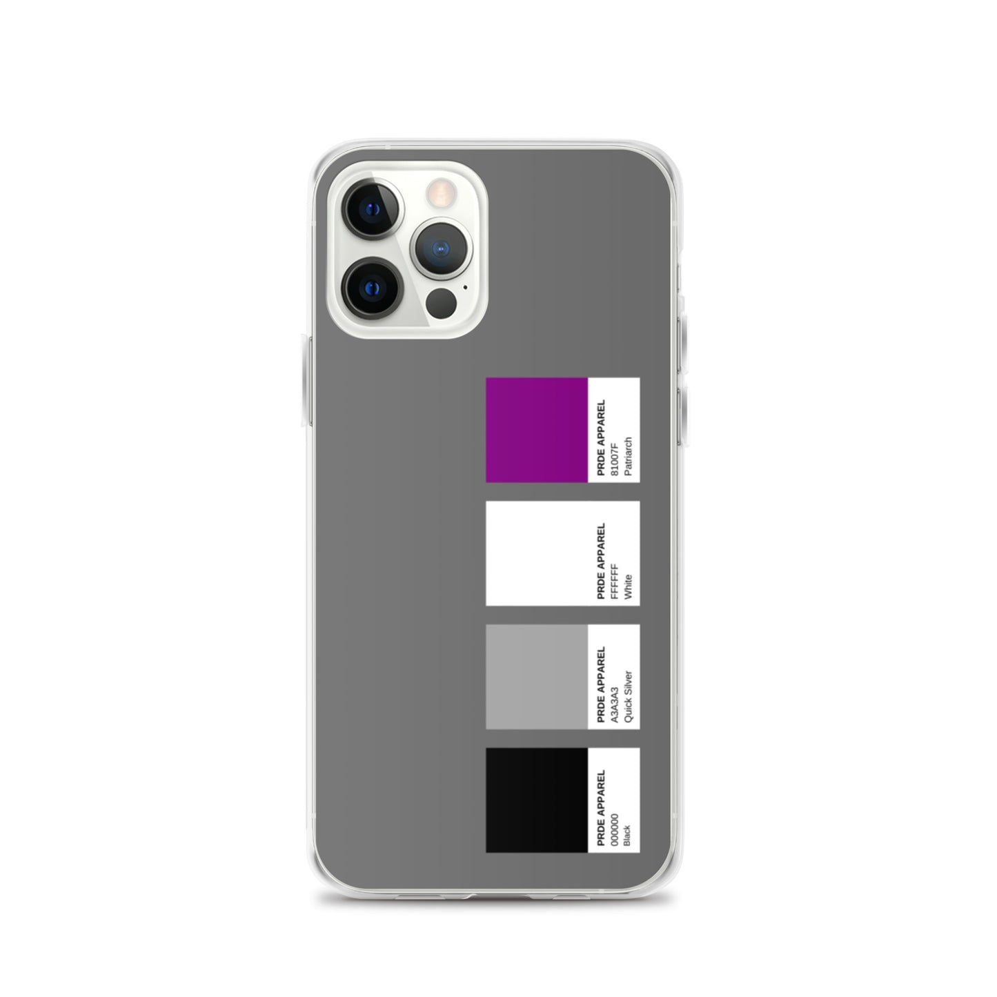 Asexual Paint Swatch iPhone Case