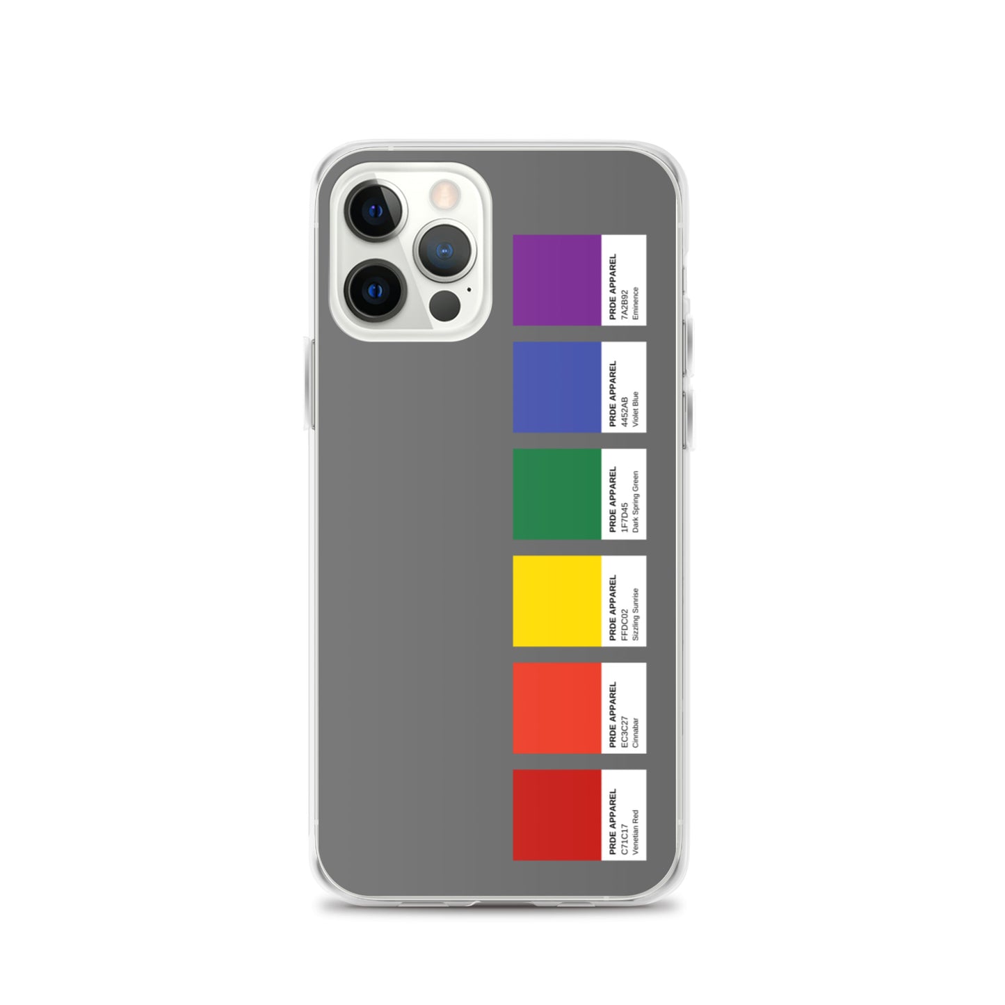 Pride Paint Swatch iPhone Case