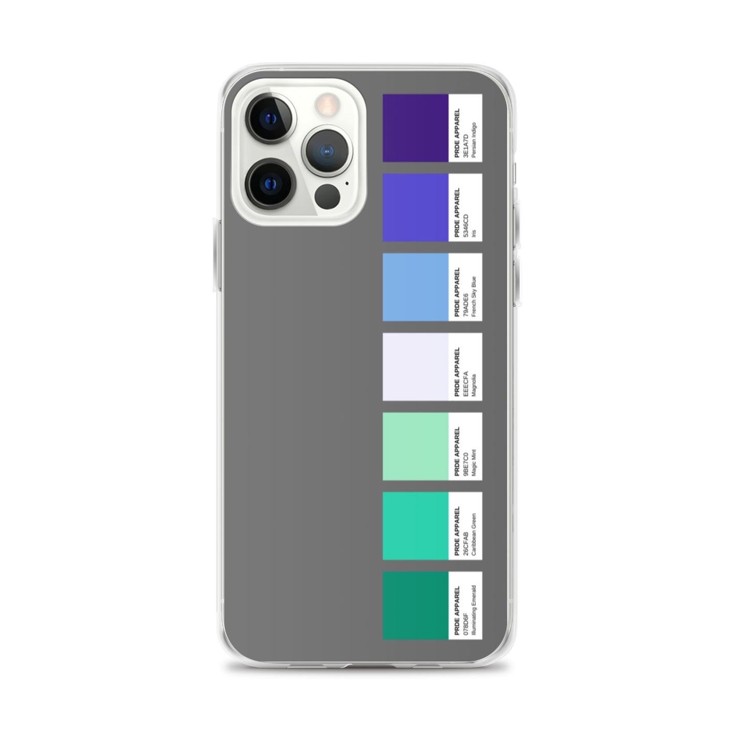 Gay Men's Pride Paint Swatch iPhone Case