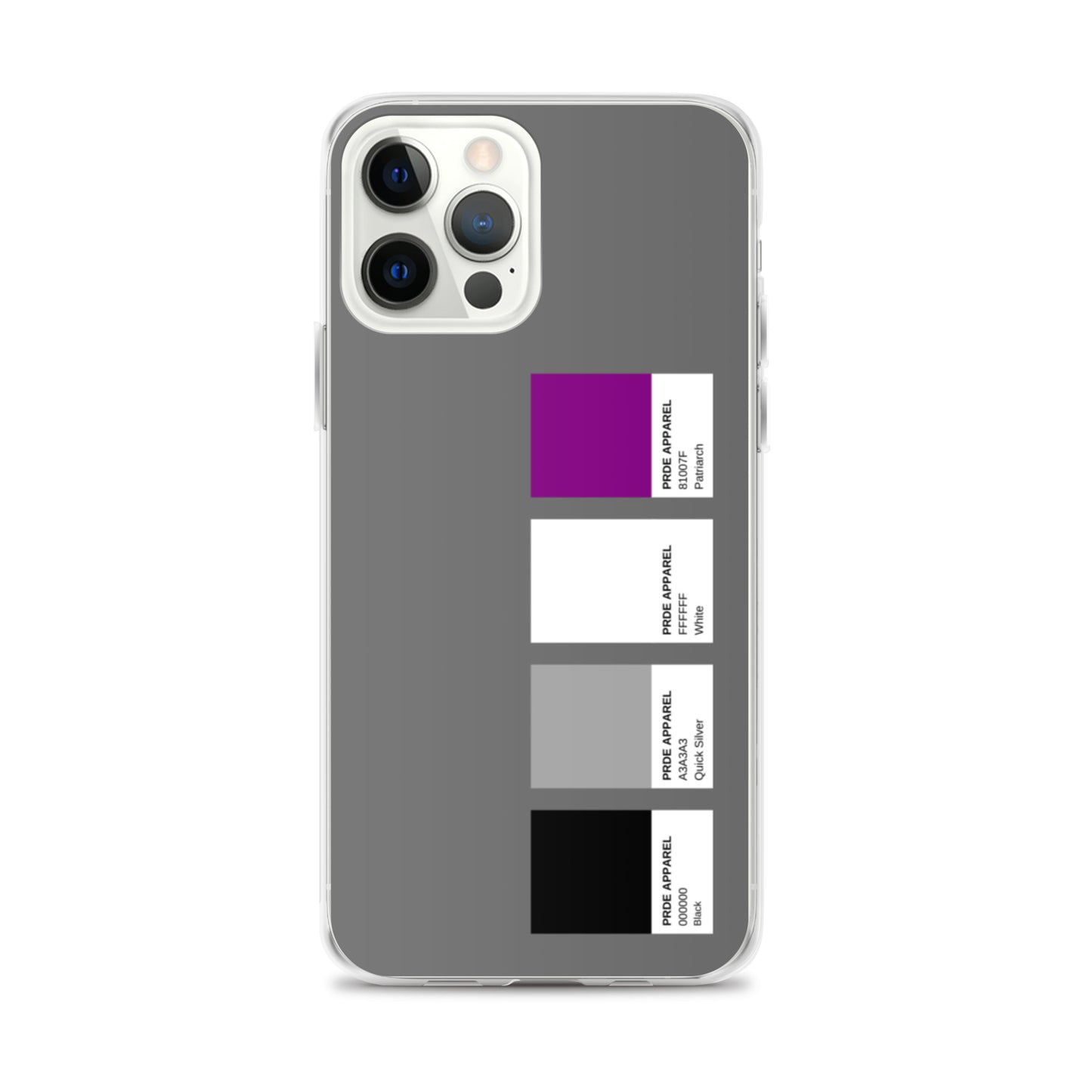 Asexual Paint Swatch iPhone Case