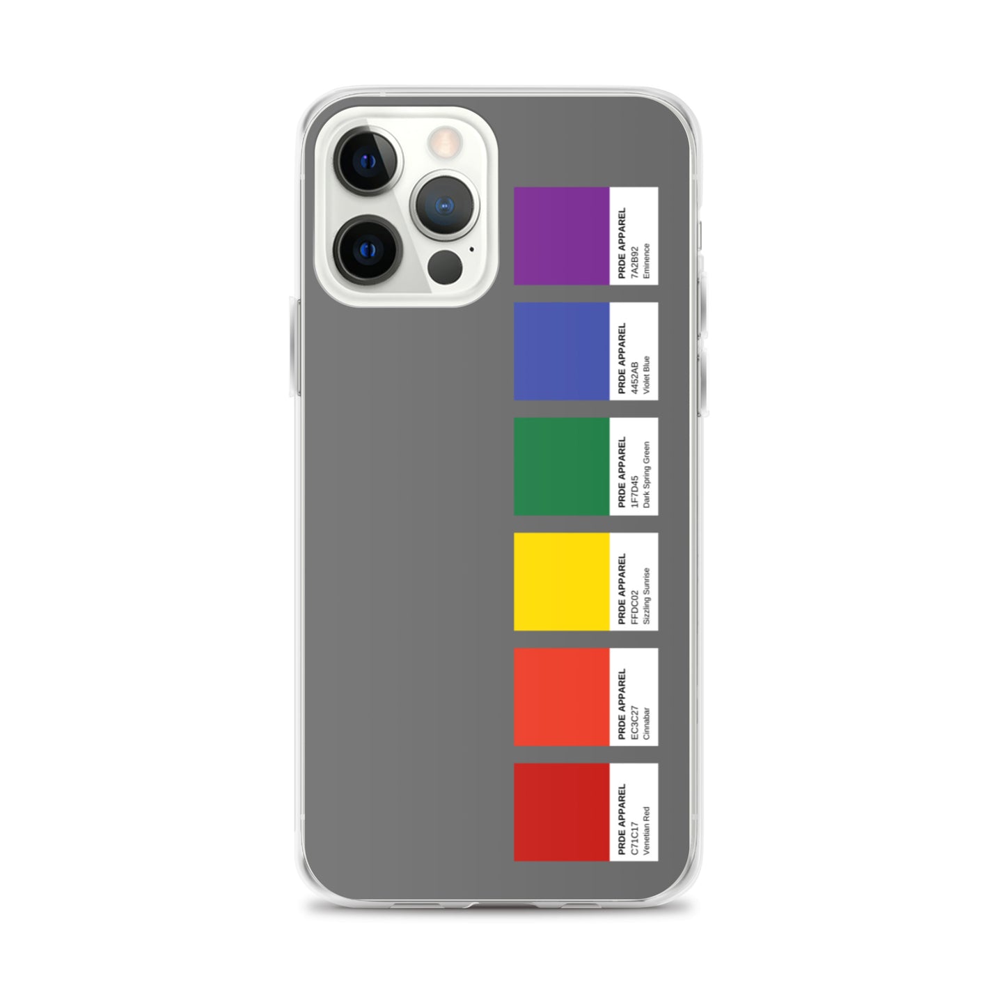 Pride Paint Swatch iPhone Case