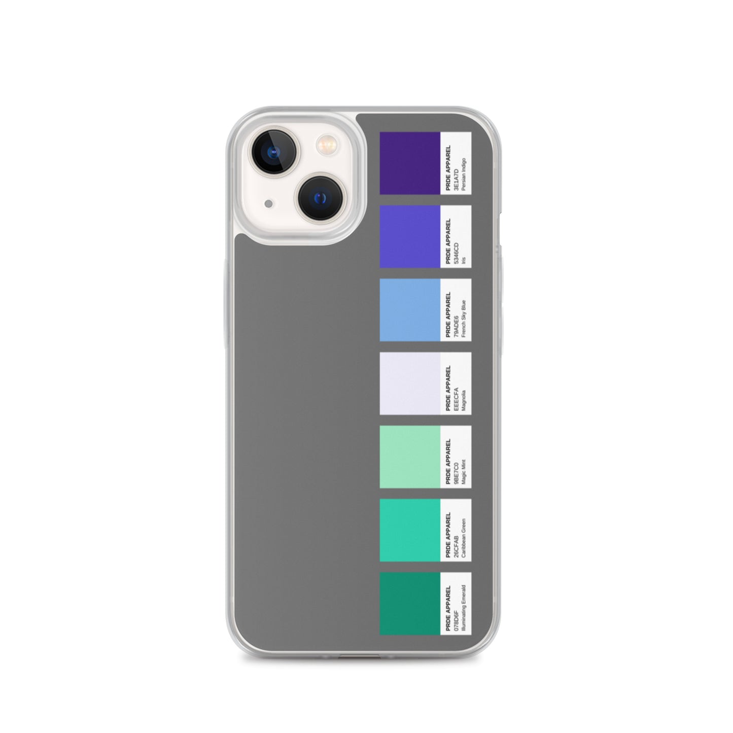 Gay Men's Pride Paint Swatch iPhone Case