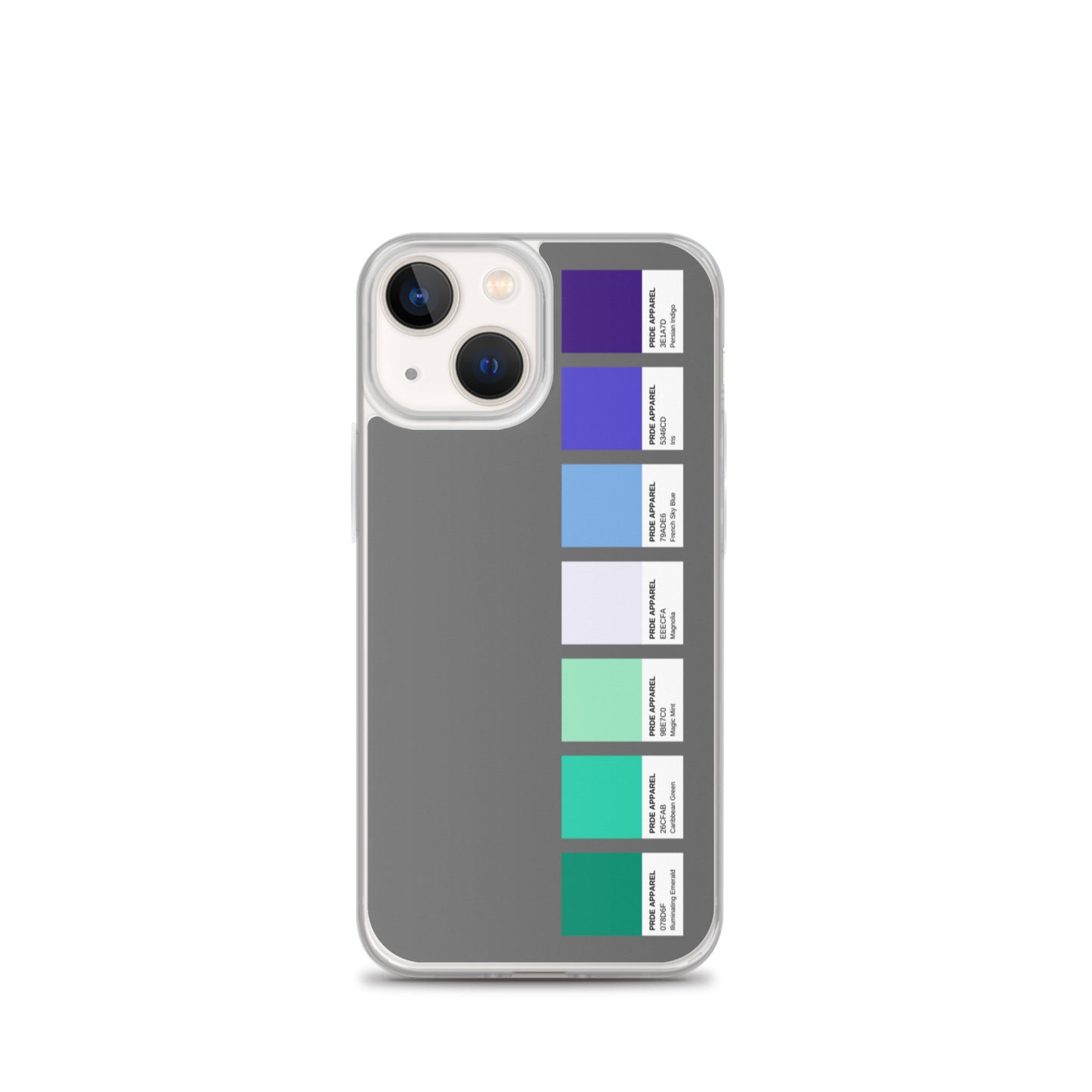 Gay Men's Pride Paint Swatch iPhone Case