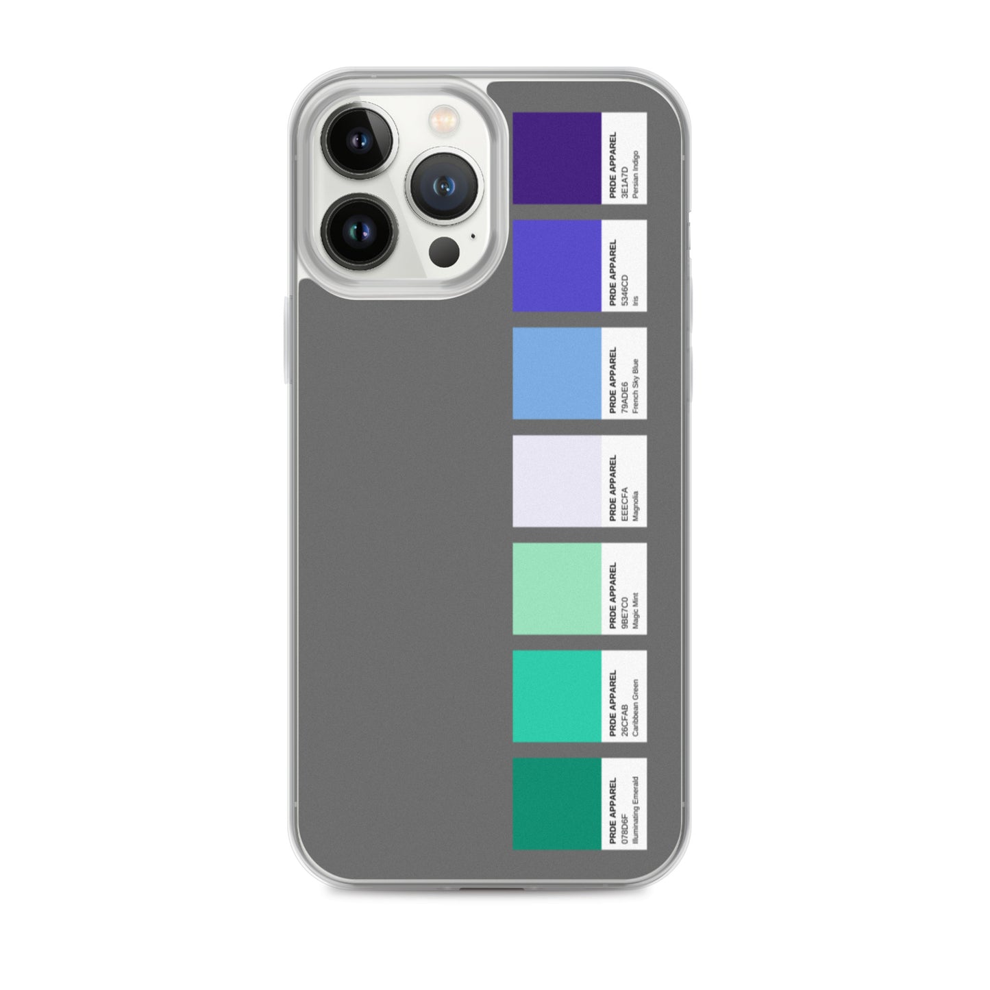 Gay Men's Pride Paint Swatch iPhone Case