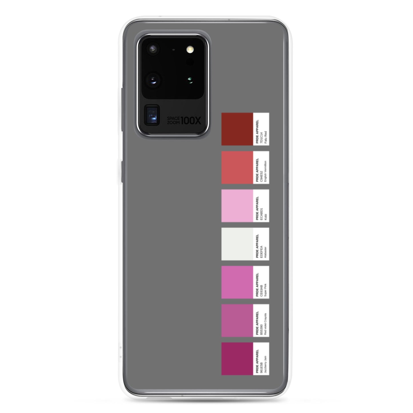 Lesbian Paint Swatch Samsung Case