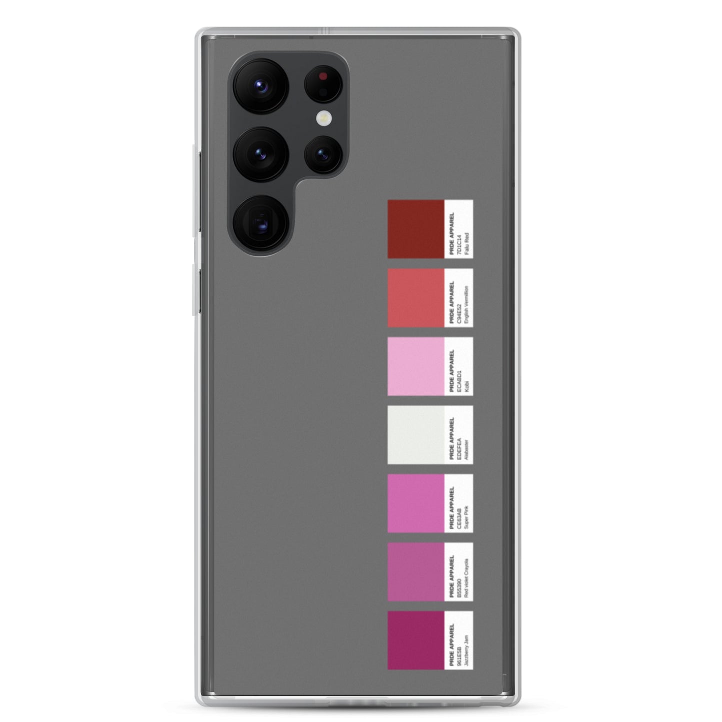 Lesbian Paint Swatch Samsung Case