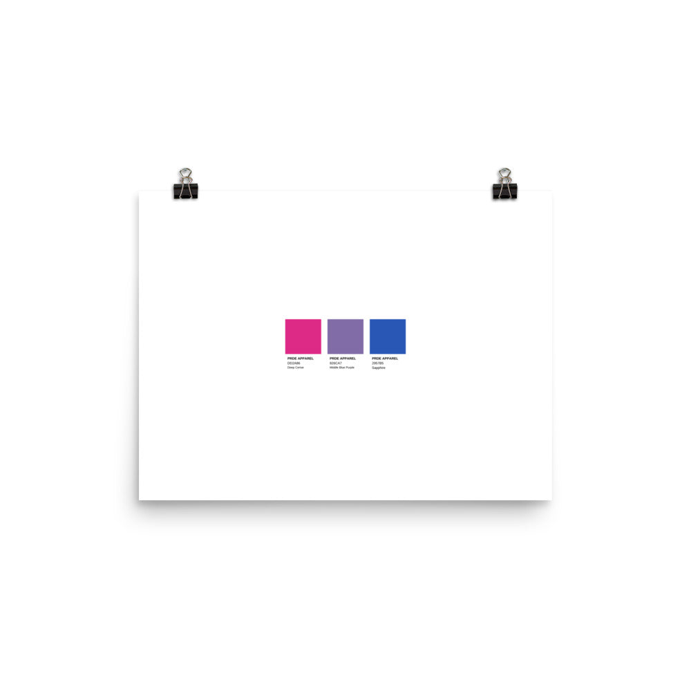 Bisexual Paint Swatch Poster