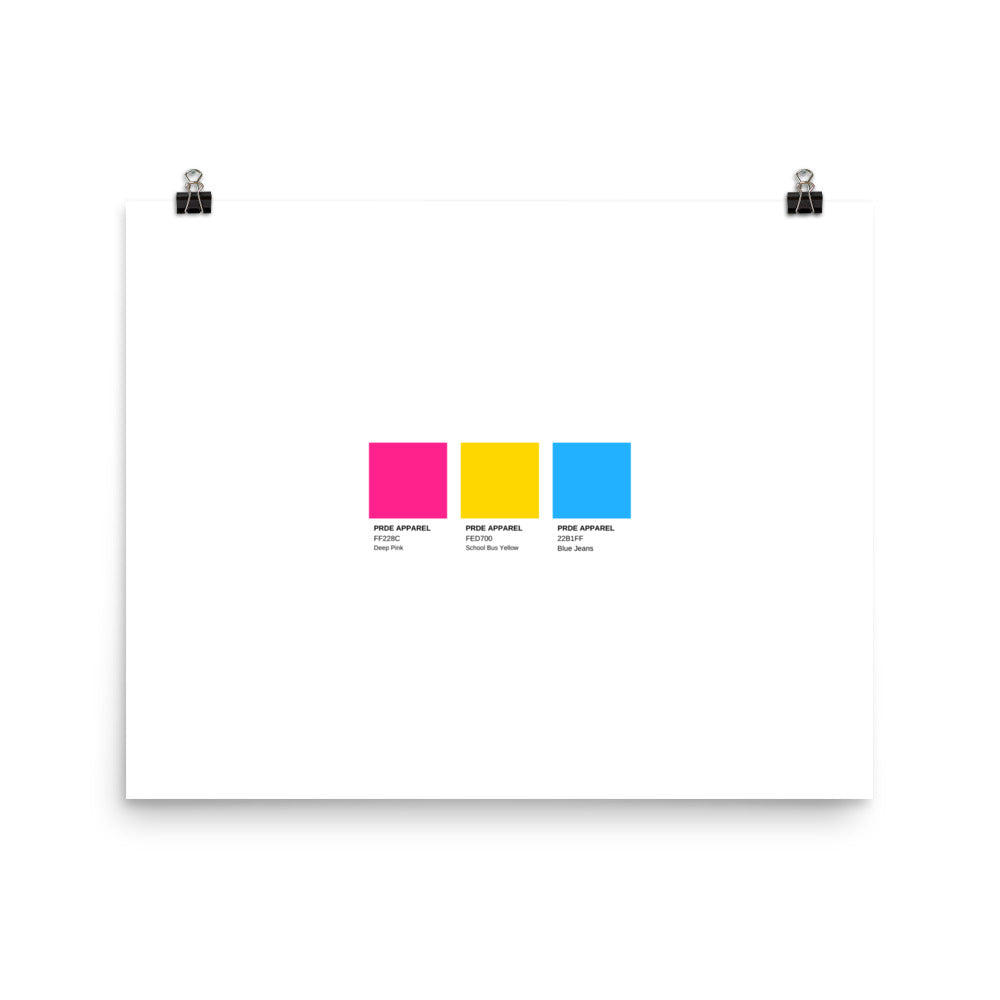 Pansexual Paint Swatch Poster