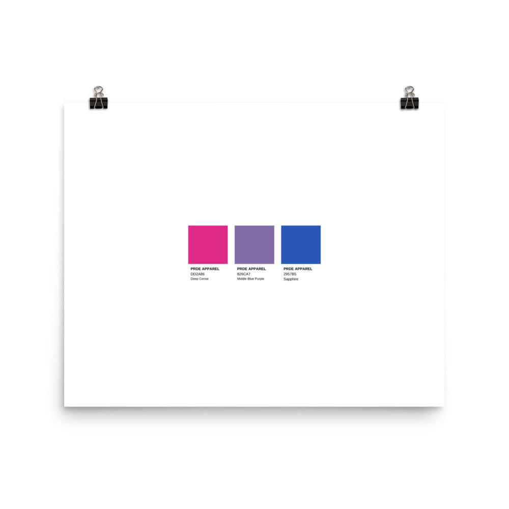 Bisexual Paint Swatch Poster