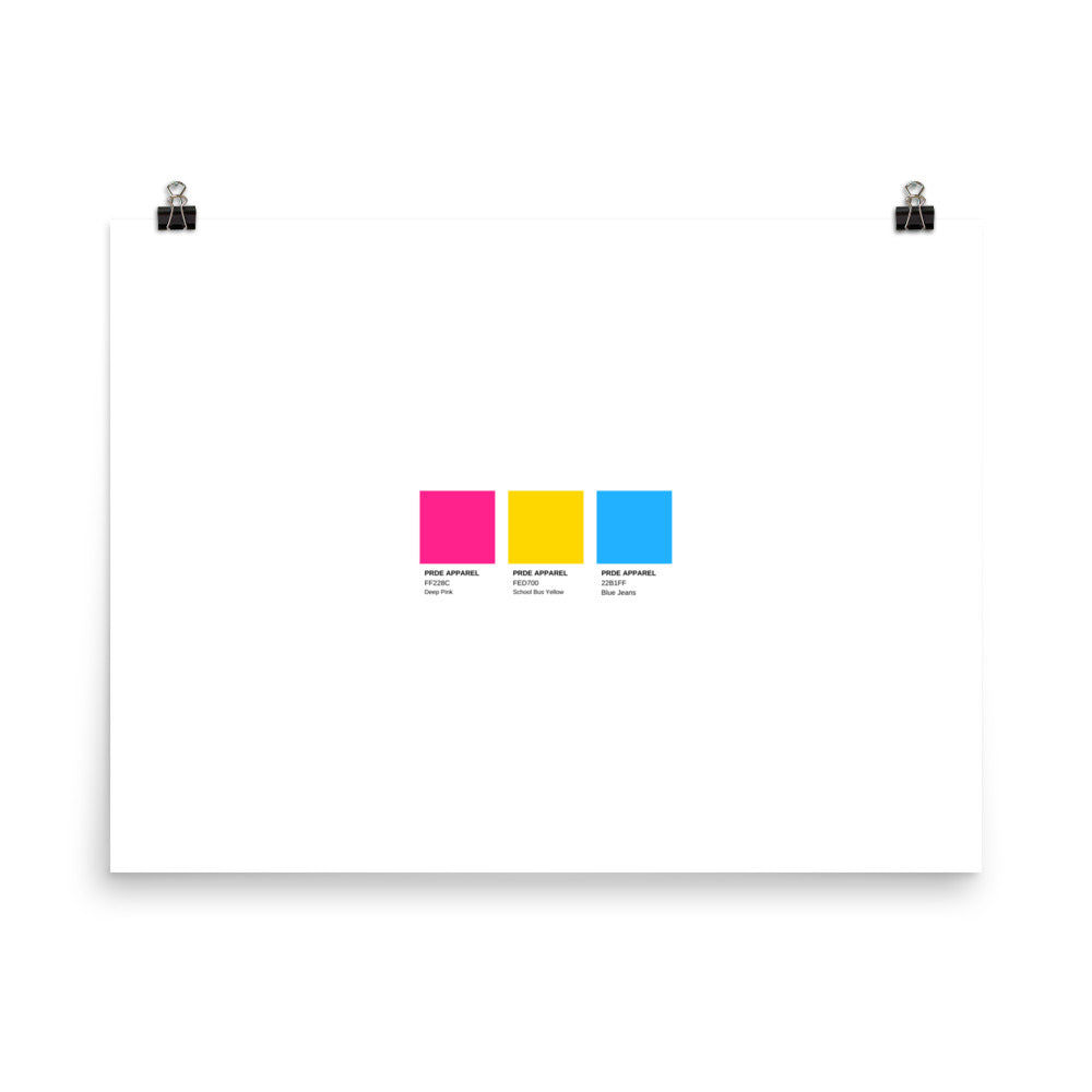 Pansexual Paint Swatch Poster